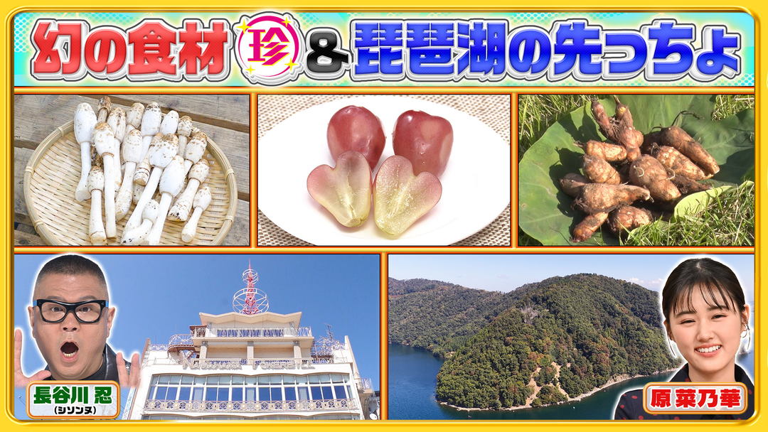ナニコレ珍百景 幻＆究極グルメ珍百景＆琵琶湖の先っちょで発見！湖底に沈む超貴重なある物とは…（2026/10/18放送分）