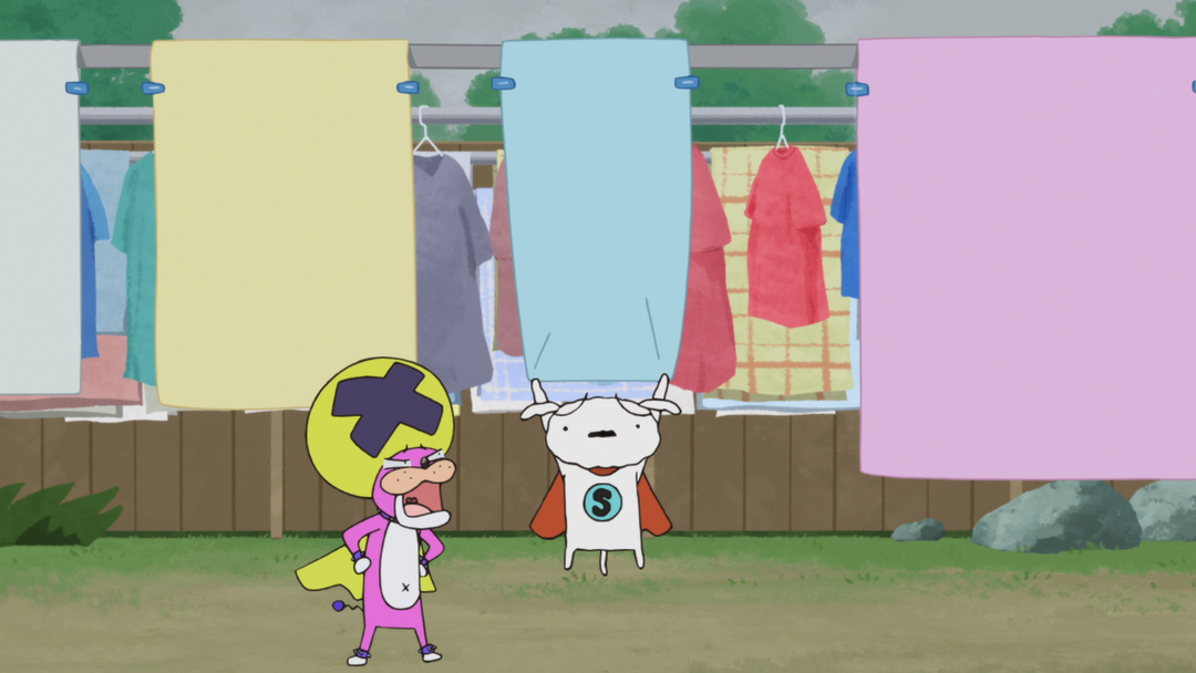 華麗なる洗濯物