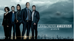 LAW＆ORDER：組織犯罪特捜班 シーズン3／字幕