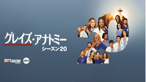 グレイズ・アナトミー シーズン20／字幕