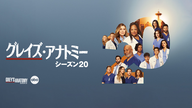 グレイズ・アナトミー シーズン20／字幕