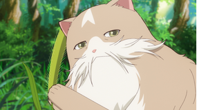猫と竜 第06話