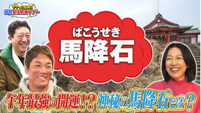 ザワつく！金曜日 開運ツアー 箱根最強開運スポット巡り！午年最強の開運！？神秘の馬降石とは？（2026/05/01放送分）