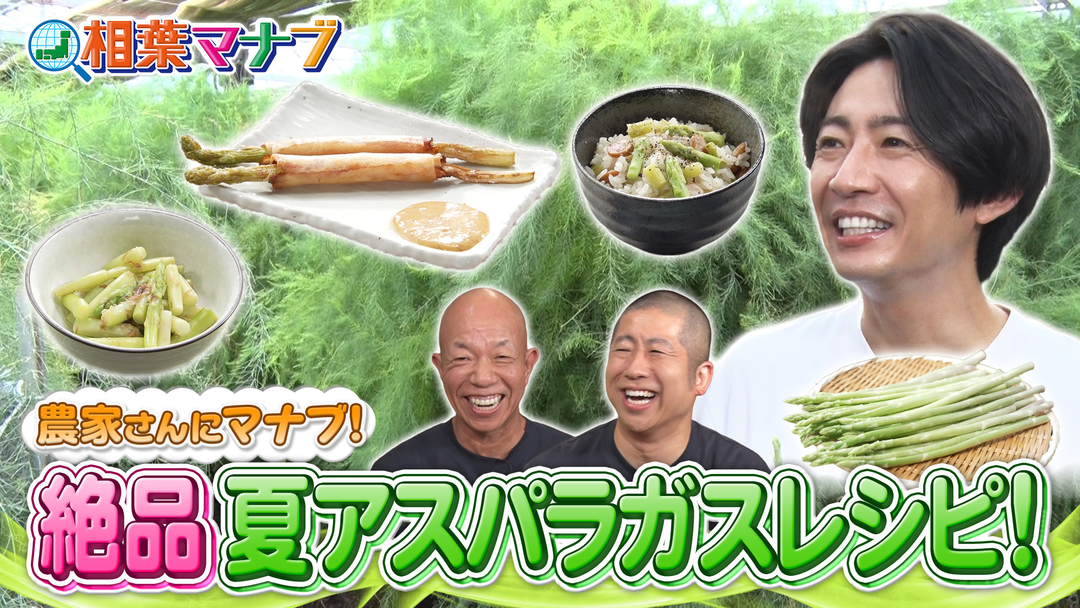 相葉マナブ マナブ！旬の産地ごはん～アスパラガス～（2026/09/20放送分）