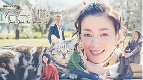 連続ドラマW「グーグーだって猫である2」