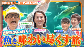 日曜マイチョイス 【さかなクンと行く!美味しくてタメになるお魚尽くしの旅】(2026/07/05放送分)