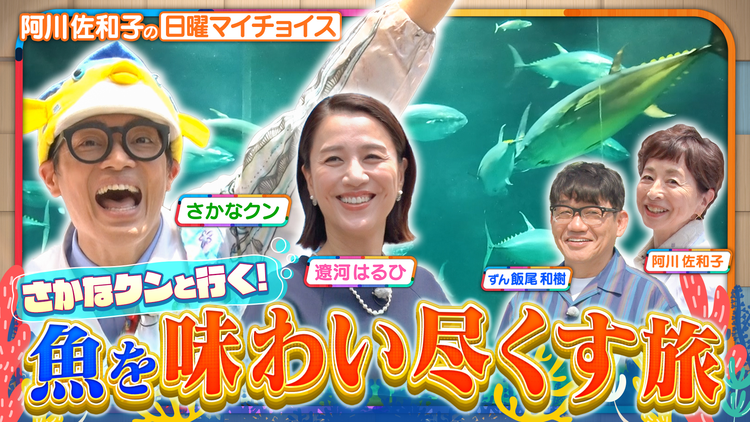 日曜マイチョイス 【さかなクンと行く!美味しくてタメになるお魚尽くしの旅】(2026/07/05放送分)