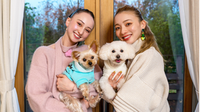 【宝塚歌劇】TAKARAZUKAあにまるハウス＃41「夢白あや・音彩唯」