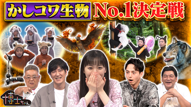 サンドウィッチマン＆芦田愛菜の博士ちゃん かしコワ生物No.1決定戦SP！
