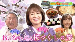 路線バスで寄り道の旅 ＃426 桜の名所を巡る 桜づくしの旅