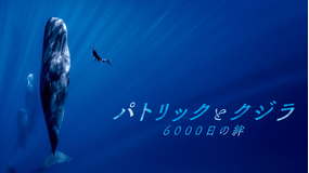 パトリックとクジラ 6000日の絆／字幕
