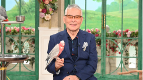 徹子の部屋 ＜千昌夫＞歌手生活60周年…デビュー秘話と吉幾三さんとの爆笑エピソードを（2025/10/14放送分）