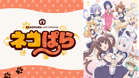 <見逃し>ネコぱら