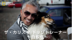 ザ・カリスマ ドッグトレーナー 自叙伝/字幕