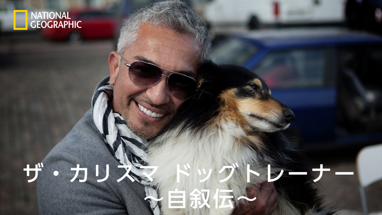 ザ・カリスマ ドッグトレーナー 自叙伝/字幕