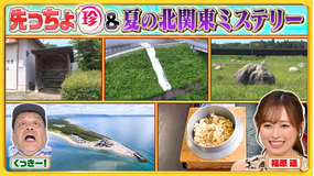 ナニコレ珍百景 北関東の不思議珍百景&房総半島の先っちょにある謎の人工島に上陸SP(2026/08/02放送分)