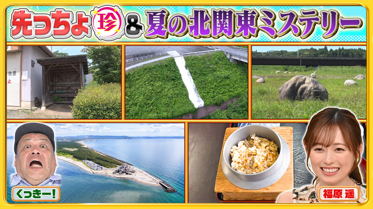 ナニコレ珍百景 北関東の不思議珍百景&房総半島の先っちょにある謎の人工島に上陸SP(2026/08/02放送分)