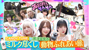 あそばにゃそんそん（2025/08/09放送分）＃14