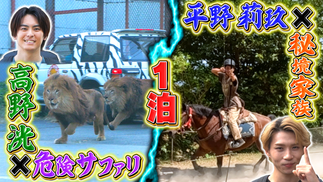 1泊家族 閉園後のサファリ＆秘境自給自足家族に人気芸能人が夜通し密着！