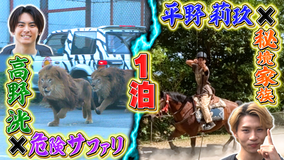 1泊家族 閉園後のサファリ&秘境自給自足家族に人気芸能人が夜通し密着!
