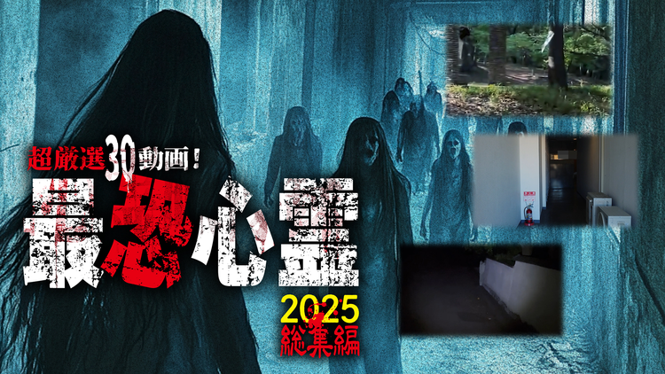 超厳選30動画！最恐心霊2025 総集編