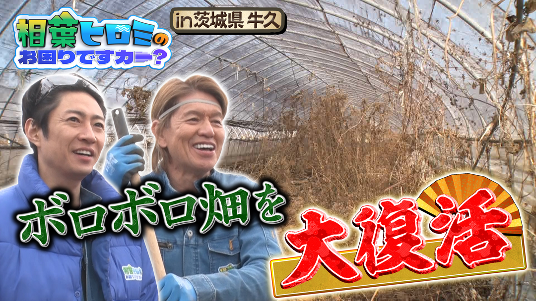 相葉ヒロミのお困りですカー？ 【100年続く畑を守れ】ボロボロの広大農地＆農業用ハウスが奇跡の復活