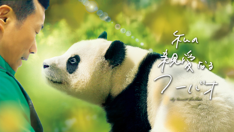 私の親愛なるフーバオ／字幕