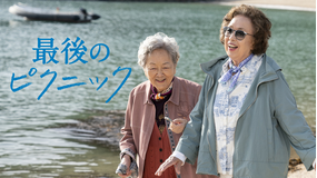 最後のピクニック/字幕