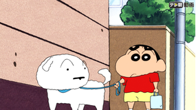クレヨンしんちゃん シロのお散歩は大変！だゾ