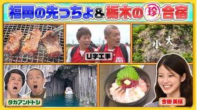 ナニコレ珍百景 今田美桜も知らない…地元福岡の先っちょ！絶景広がる神秘的な洞窟（2026/06/28放送分）