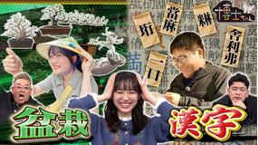 サンドウィッチマン＆芦田愛菜の博士ちゃん 日本の伝統文化を愛する博士ちゃんSP