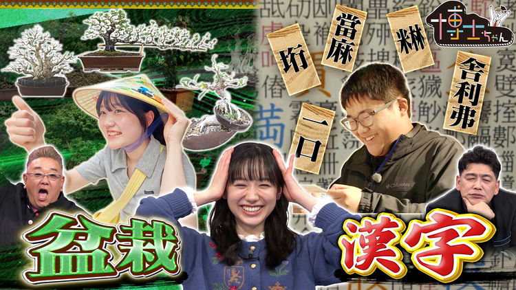 サンドウィッチマン&芦田愛菜の博士ちゃん 日本の伝統文化を愛する博士ちゃんSP