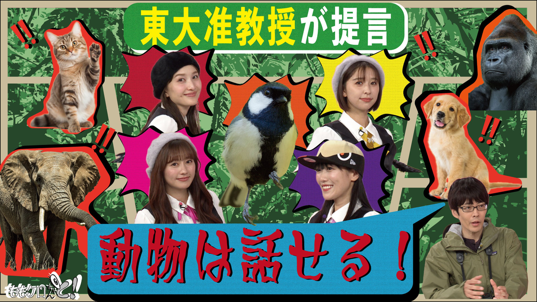 ももクロちゃんと！ ももクロちゃんと！～鳥の言葉を話すアイドル！？～（2025/08/09放送分）