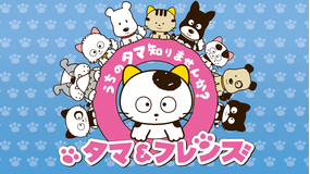 タマ&フレンズ シーズン2