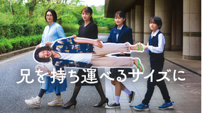 兄を持ち運べるサイズに