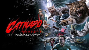 キャットネード ~シャークより厄介、しかもモフモフ~/字幕