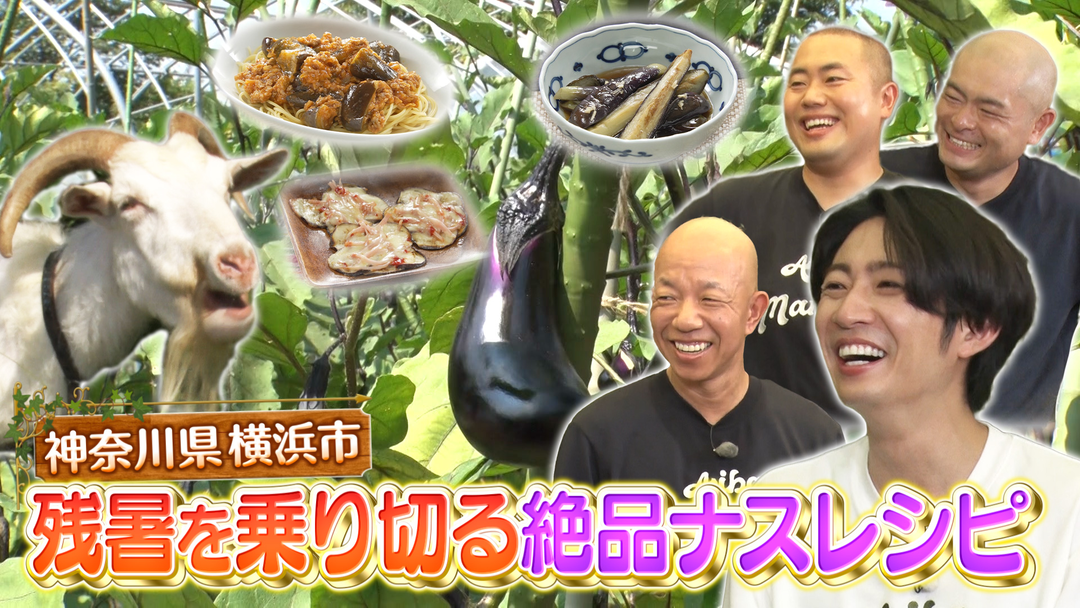 今こそ是非食べたい！旬のナス絶品レシピ！横浜農家直伝ナス料理