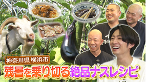 相葉マナブ マナブ！旬の産地ごはん～横浜のナス～（2025/09/07放送分）