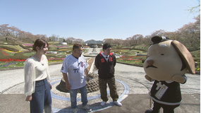 サンドのぼんやり～ぬTV ＃809