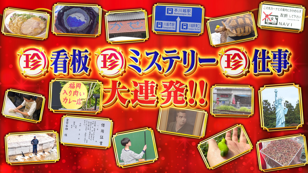 ナニコレ珍百景 ゴールデンで未放送の新ネタを一挙大放出SP！！（2025/12/13放送分）