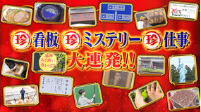 ナニコレ珍百景 ゴールデンで未放送の新ネタを一挙大放出SP!!(2025/12/13放送分)