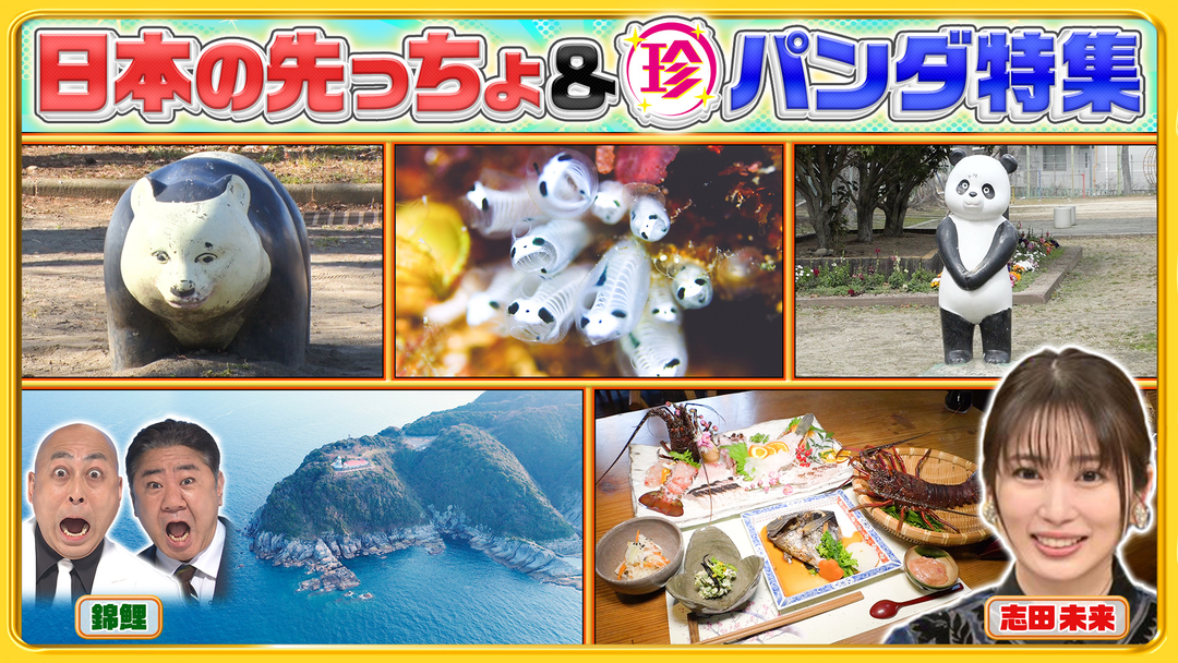 ナニコレ珍百景 パンダロス解消！？全国の珍パンダ特集＆半島の先っちょ大調査SP（2026/04/12放送分）