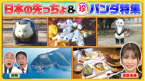 ナニコレ珍百景 パンダロス解消！？全国の珍パンダ特集＆半島の先っちょ大調査SP（2026/04/12放送分）