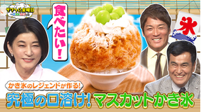 ザワつく!金曜日 猛暑到来!全国の絶品ご当地かき氷が大集結!食事権をかけたルーレットで大盛り上がり(2026/07/17放送分)