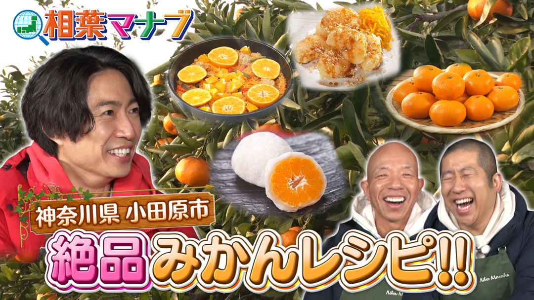 冬のみかん狩り　簡単大福や天ぷら！絶品みかん料理満載‼