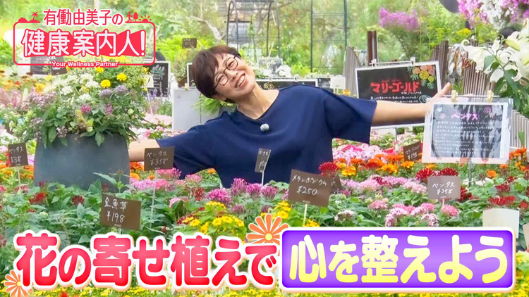 有働由美子の健康案内人! 簡単!花の寄せ植えで「心を整えよう」