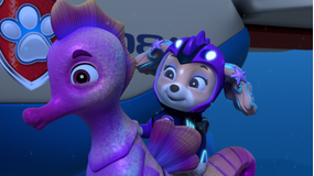 パウ・パトロール 第281話／吹替