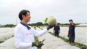 相葉マナブ マナブ!旬の産地ごはん~千葉・飯岡のメロン~&釜-1グランプリ(2021/07/18放送分)