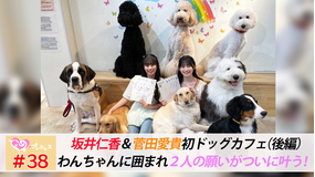 ときめき♡プレシャス #38 ひとあき初のドッグカフェ(後編)