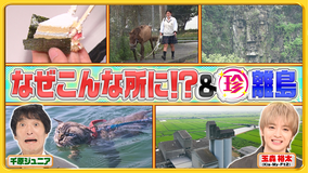 ナニコレ珍百景 離島に伝わる珍風習&なぜこんな所にこんなものが!?SP(2025/09/21放送分)